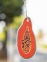 HELIO FERRETTI For Closet/Car Passion Fruit Air Freshener
