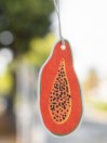 HELIO FERRETTI For Closet/Car Passion Fruit Air Freshener
