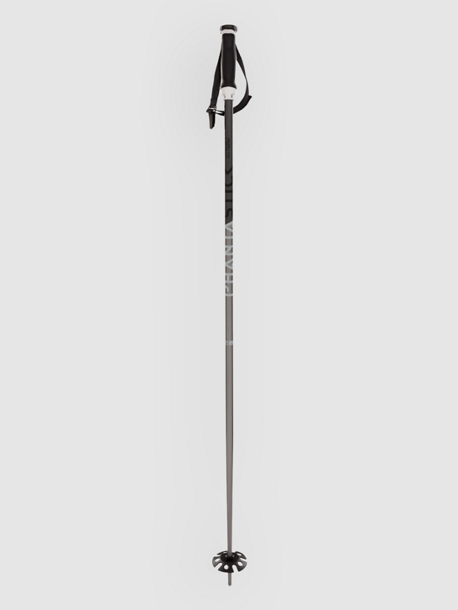 Völkl Phantastick 18mm 2027 Ski Poles