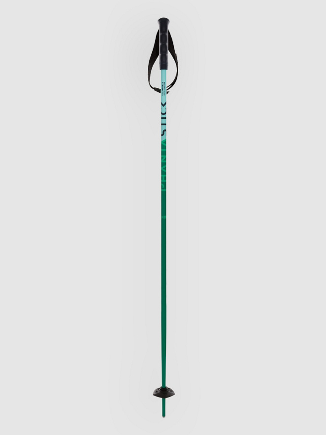 Völkl Phantastick Jr 2027 Kids Ski Poles