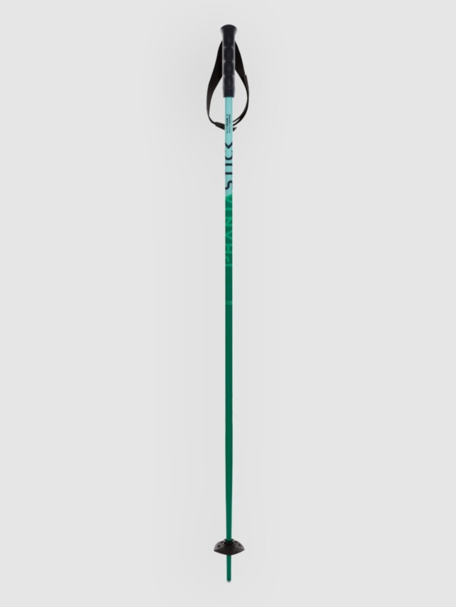 Völkl Phantastick Jr 2027 Kids Ski Poles
