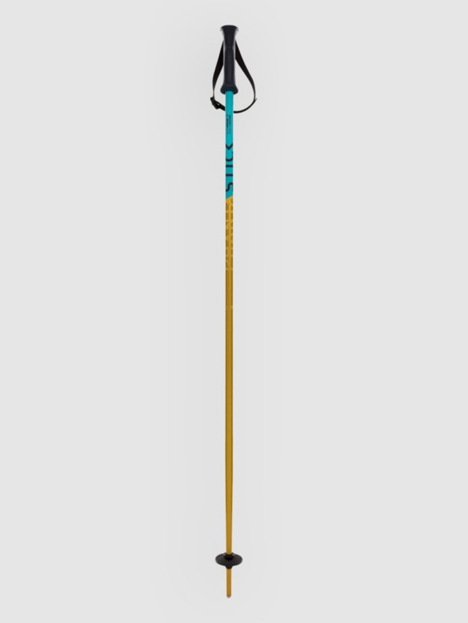 Völkl Phantastick 2027 Kids Ski Poles