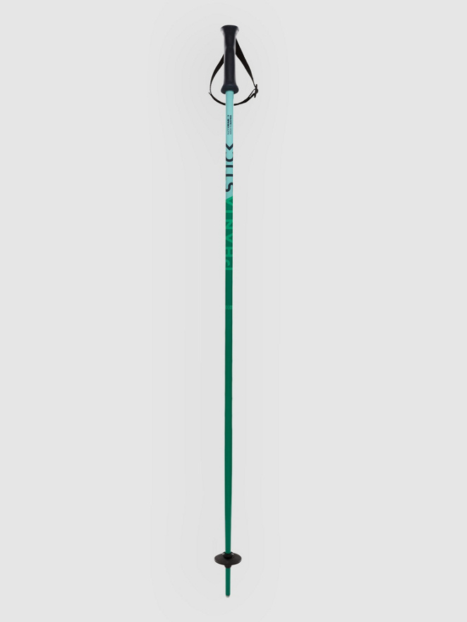 Völkl Phantastick 2027 Kids Ski Poles