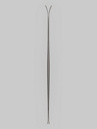Völkl Mantra 84 Flat 2027 Skis