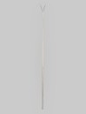 Völkl Mantra 88 W Flat 2027 Ski