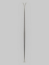 Völkl Blaze 86 Flat 2027 Skis