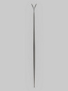 Völkl Rise Above 88 Flat 2027 Skis de randonnée