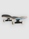 Blind Skate Park 7.75'' Complete