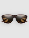 Smith Embark Matte Tortoise Gafas de Sol