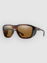 Smith Embark Matte Tortoise Gafas de Sol