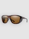 Smith Embark Matte Tortoise Gafas de Sol