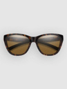 Smith Shoal Tortoise Gafas de Sol