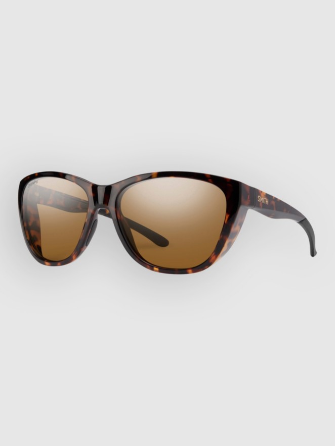Smith Shoal Tortoise Gafas de Sol