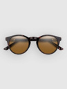 Smith Westward Tortoise Aurinkolasit