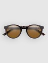 Smith Westward Tortoise Aurinkolasit