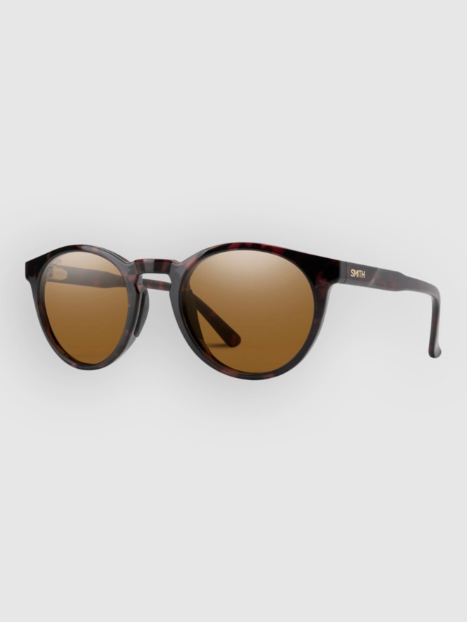 Smith Westward Tortoise Aurinkolasit