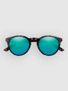 Smith Westward Tortoise Aurinkolasit