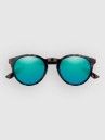 Smith Westward Tortoise Aurinkolasit