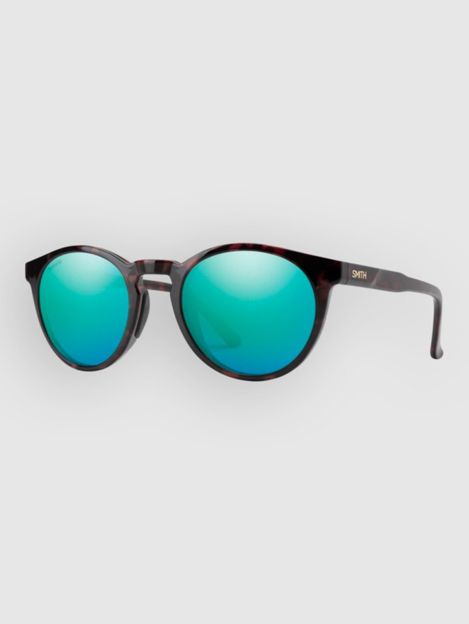 Smith Westward Tortoise Aurinkolasit