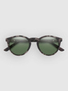 Smith Westward Matte Gray Tortoise Aurinkolasit