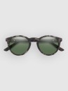 Smith Westward Matte Gray Tortoise Aurinkolasit