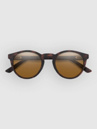 Smith Westward Matte Tortoise Aurinkolasit