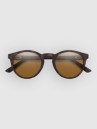 Smith Westward Matte Tortoise Aurinkolasit