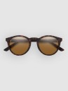 Smith Westward Core Matte Tortoise Zonnebril