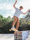 Flying Wheels Tropical 35″ Surfskate