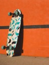 Flying Wheels Pisces 36″ Surfskate