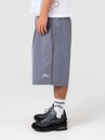 Rusty Mista Ilavaline Elastic Shorts