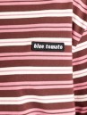 Blue Tomato Striped Long Sleeve Polo
