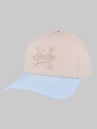 Hurley Vintage Team Cap