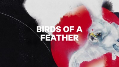Birds Of A Feather 146 2021 Snowboard