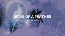 Birds Of A Feather 2024 Lumilauta