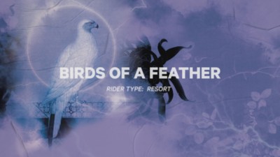 Birds Of A Feather 2024 Snowboard