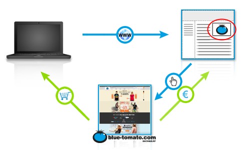 Programa de Colaboración