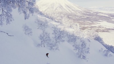 salomon malamute 2020