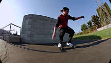 SB Shane Sapatilhas de Skate