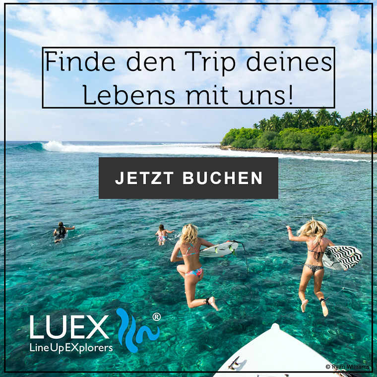 Luex Surf Trips