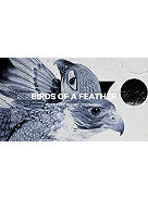Birds Of A Feather 146 2023 Snowboard