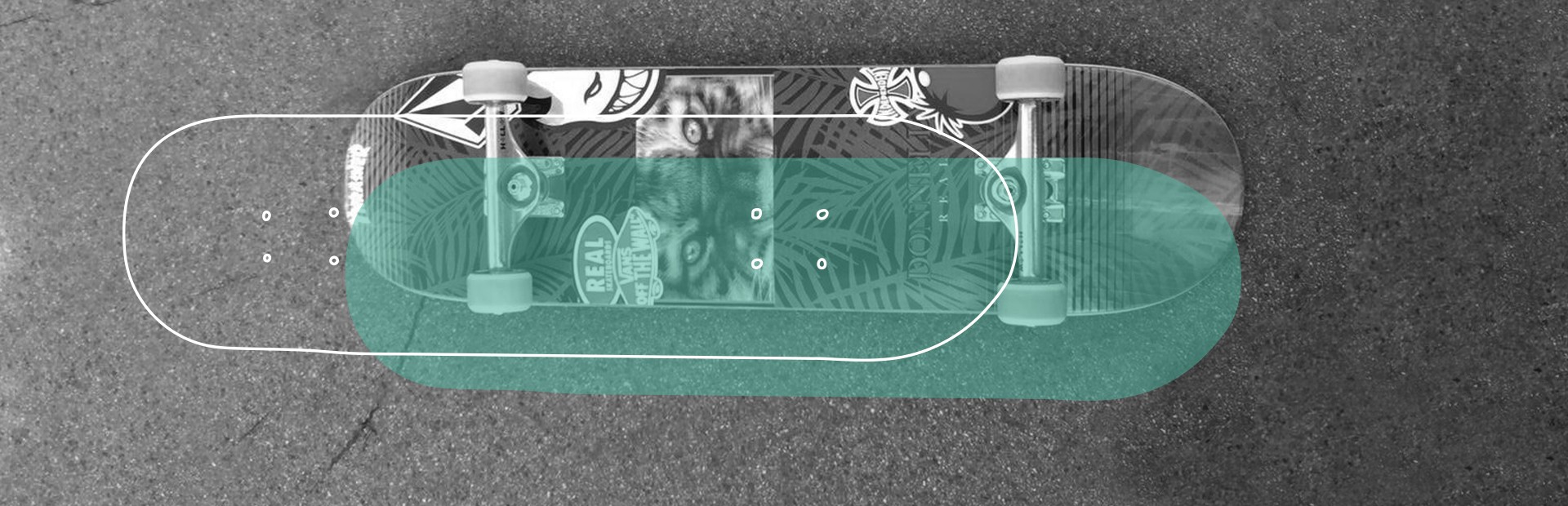 Skateboard-deck closeup