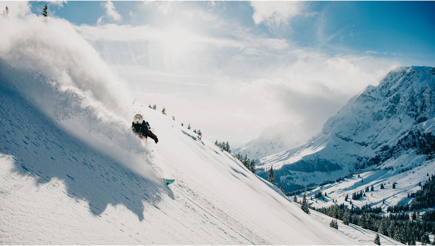 Welches Snowboard passt zu mir Kauftipps Blue Tomato