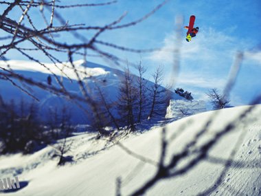 Voelkl Snowboard für Damen und Herren